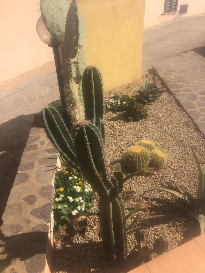 Apartment Perego Castelsardo